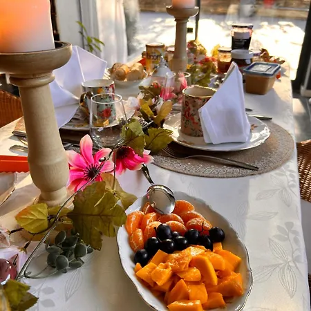 Maison d'hôtes La Grange Aux Hirondelles - Romantique Woignarue